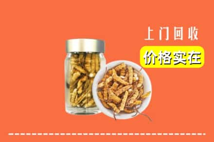 南充仪陇县回收散虫草