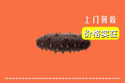 南充仪陇县回收海参