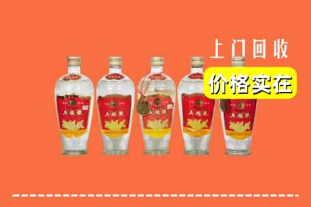 南充仪陇县回收老五粮液